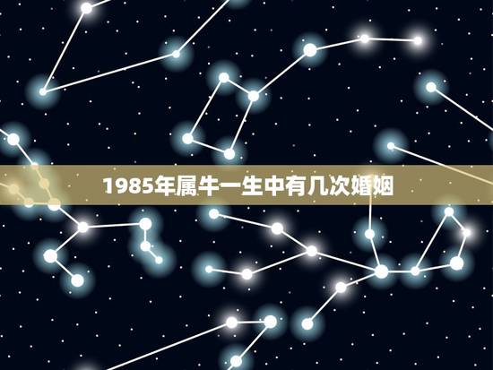 1985年属牛一生中有几次婚姻，我属牛1985年一生当中有几次桃花运