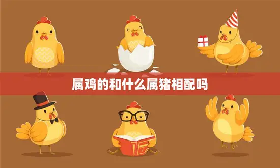 属鸡的和什么属猪相配吗(最佳配对指南)
