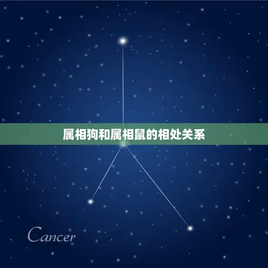 属相狗和属相鼠的相处关系