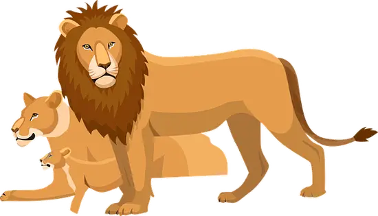 狮子座的上升星座怎么查(快速了解自己的内在特质)