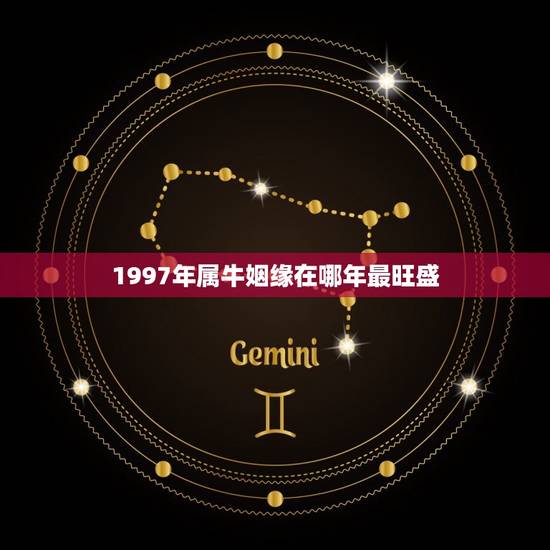 1997年属牛姻缘在哪年最旺盛，1997年属牛2023年运势及运程