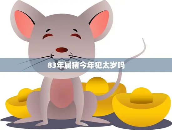 83年属猪今年犯太岁吗(解析猪年犯太岁的真相)