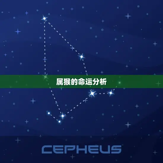 属猴的命运分析