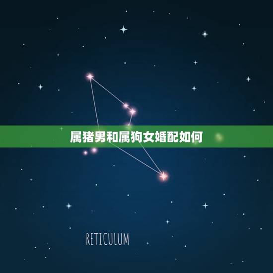 属猪男和属狗女婚配如何，属猪男和什么属相最配和属狗女配吗？