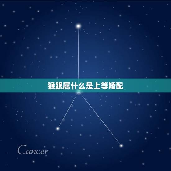猴跟属什么是上等婚配,属猴的人和什么属相的人比较相配 猴跟属什么是上等婚配,属猴的人和什么属相的人比较相配