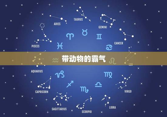 带动物的霸气 名，可爱的动物昵称 名