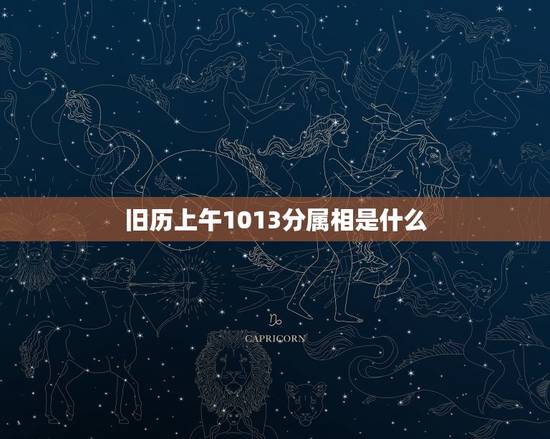 旧历上午1013分属相是什么，上午10点9分属相是什么