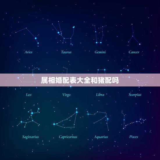 属相婚配表大全和猪配吗，生肖猪与猪婚配合吗