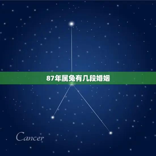 87年属兔有几段婚姻