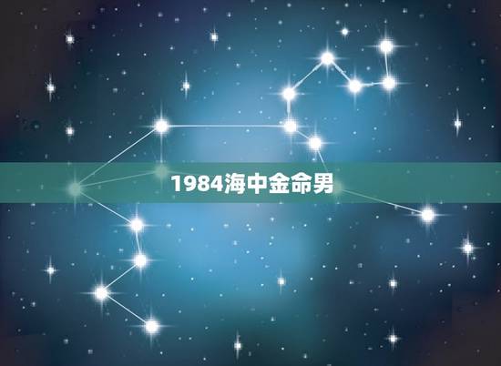 1984海中金命男