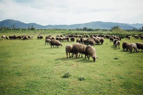 白羊座女成熟后什么样子(探究性格、职场、恋爱)