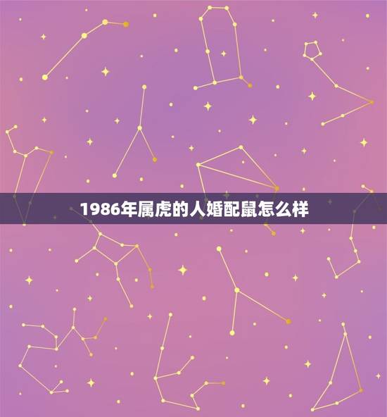 1986年属虎的人婚配鼠怎么样,86年属虎的最佳配偶 1986年属虎的人婚配鼠怎么样,86年属虎的最佳配偶