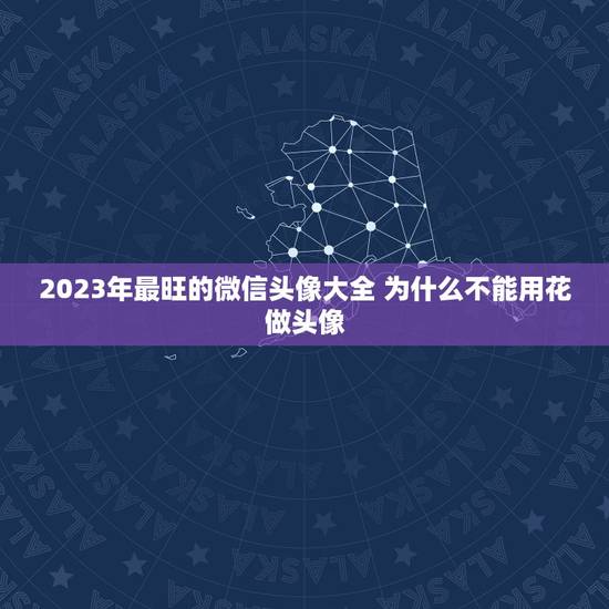 2023年最旺的微信头像大全 为什么不能用花做头像