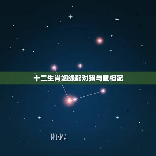 十二生肖姻缘配对猪与鼠相配(天生一对幸福长存)