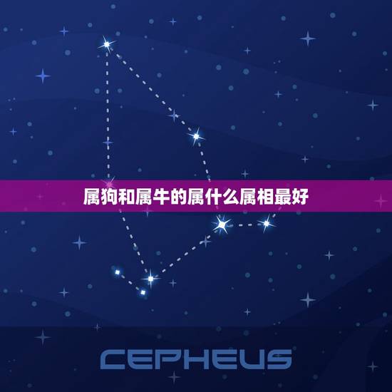 属狗和属牛的属什么属相最好，属牛和属狗买什么楼层最旺