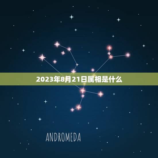 2023年8月21日属相是什么，2023年是什么生肖年？