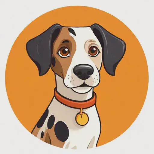 属狗的是哪一年出生的 (更多)，属狗性格特点