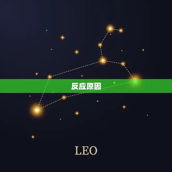 反应原因 反应原因