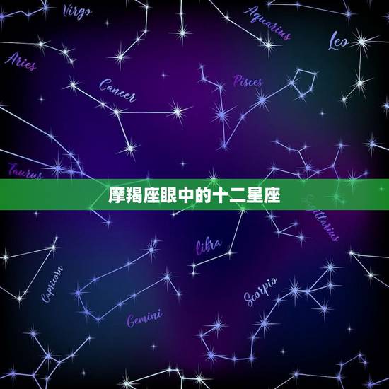 摩羯座眼中的十二星座，摩羯座眼中的其他星座