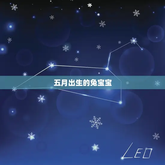 五月出生的兔宝宝 五月出生的兔宝宝