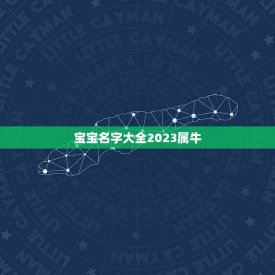 宝宝名字大全2023属牛，牛年宝宝名字大全2023有寓意