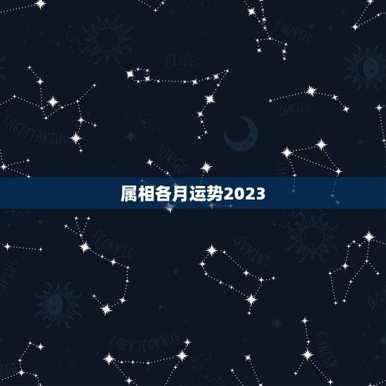 属相各月运势2023