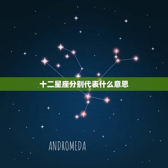 十二星座分别代表什么意思，12星座长相最丑排行
