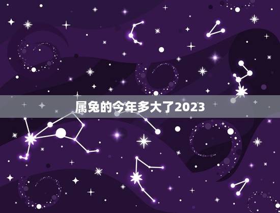 属兔的今年多大了2023(兔年属相运势详解)