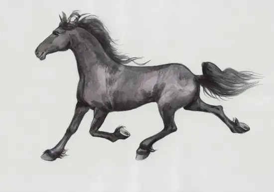 生肖马今日财运吉位