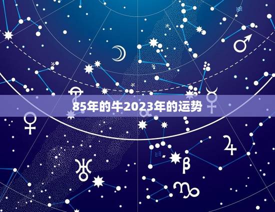 85年的牛2023年的运势