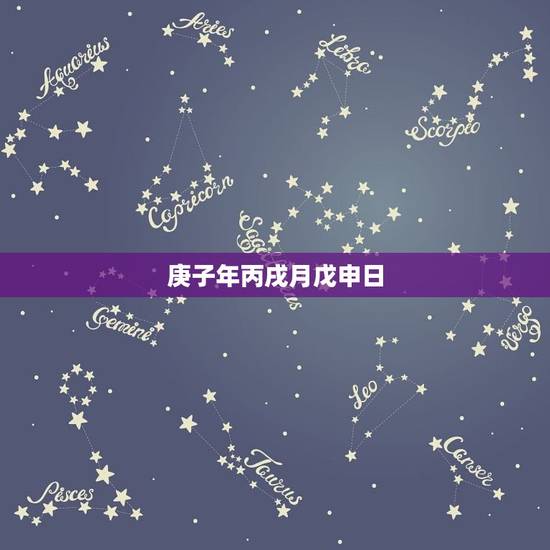 庚子年丙戌月戊申日，庚子年丙戌月戊申日生辰八字