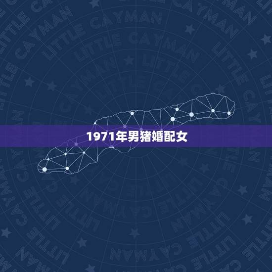 1971年男猪婚配女，1971年属猪的女人和1971年属猪的男人是否婚