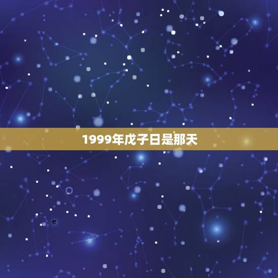 1999年戊子日是那天