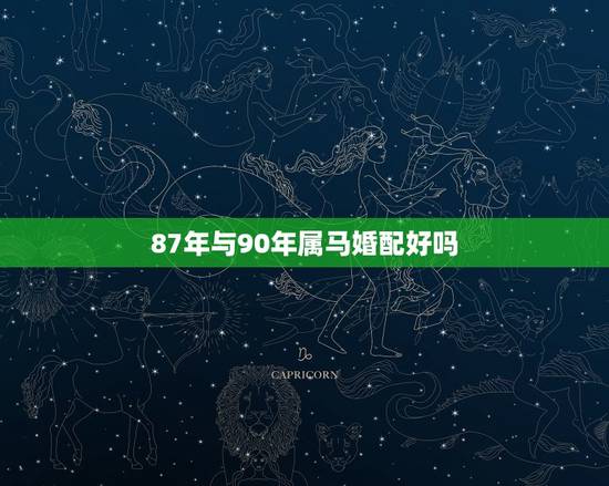 87年与90年属马婚配好吗，1990年12月属马与1987年2月属兔属