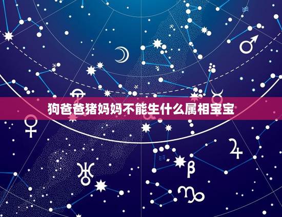 狗爸爸猪妈妈不能生什么属相宝宝，属狗妈妈属猪爸爸生什么宝宝最好