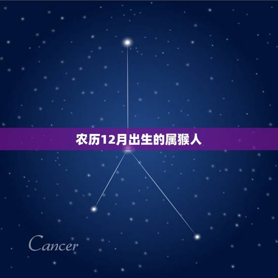 农历12月出生的属猴人，属猴的女人农历十一月出