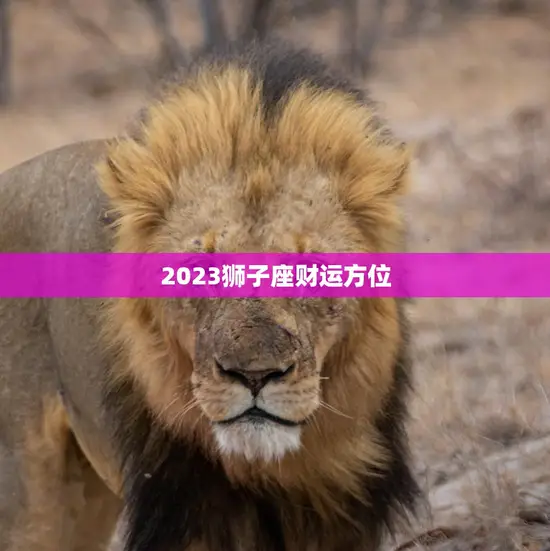 2023狮子座财运方位(展望财富之门即将敞开)