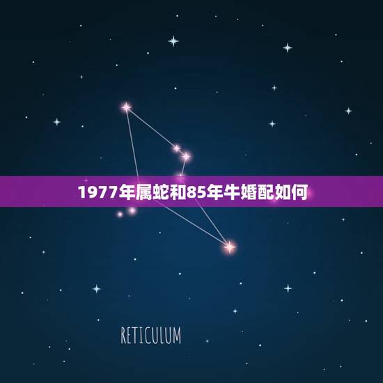 1977年属蛇和85年牛婚配如何，85年属牛女和77年属蛇男相配吗？