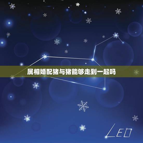 属相婚配猪与猪能够走到一起吗，生肖配对猪和猪的婚姻如何