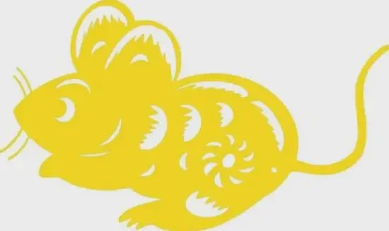 生肖鼠本命年运势