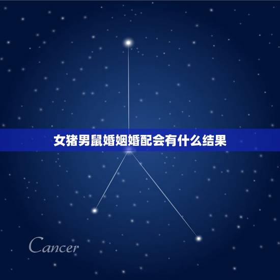 女猪男鼠婚姻婚配会有什么结果,女猪男鼠婚姻相配吗 女猪男鼠婚姻婚配会有什么结果,女猪男鼠婚姻相配吗