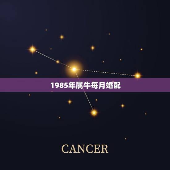 1985年属牛每月婚配，1985年属牛婚配1985年属牛会长久吗