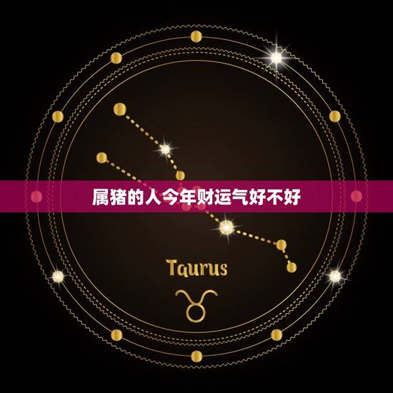 属猪的人今年财运气好不好,属猪男今年财运好不好 属猪的人今年财运气好不好,属猪男今年财运好不好