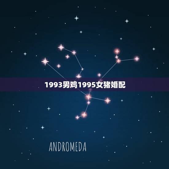 1993男鸡1995女猪婚配，1993年属鸡男和1995年属猪女合适吗