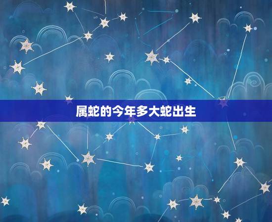 属蛇的今年多大蛇出生