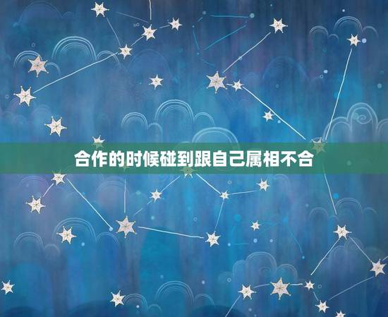 合作的时候碰到跟自己属相不合，生肖龙在性格上与哪个生肖最合不来？