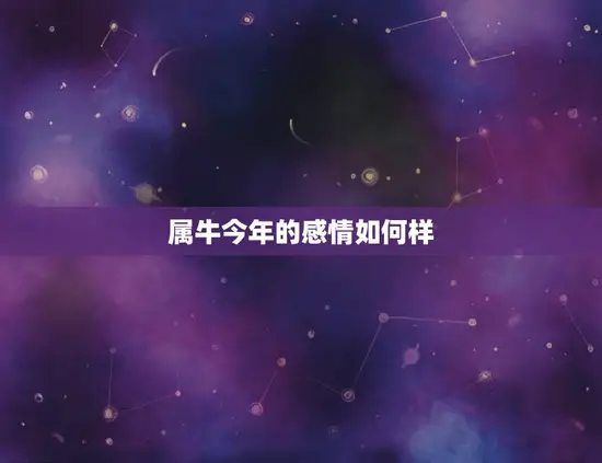 属牛今年的感情如何样