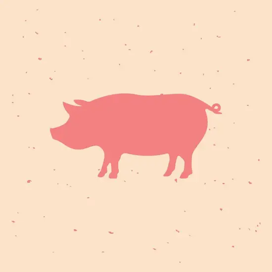 71年猪今年财运如何呢(解析2023年猪年运势)