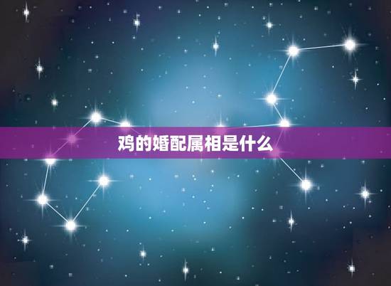 鸡的婚配属相是什么，鸡和什么属相最配