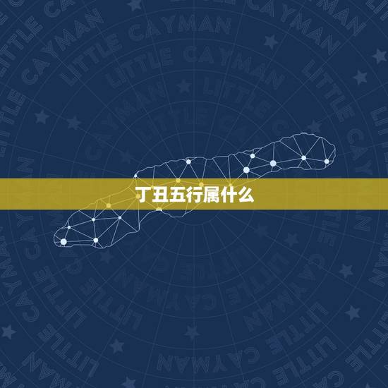 丁丑五行属什么，己亥时属什么五行属相表